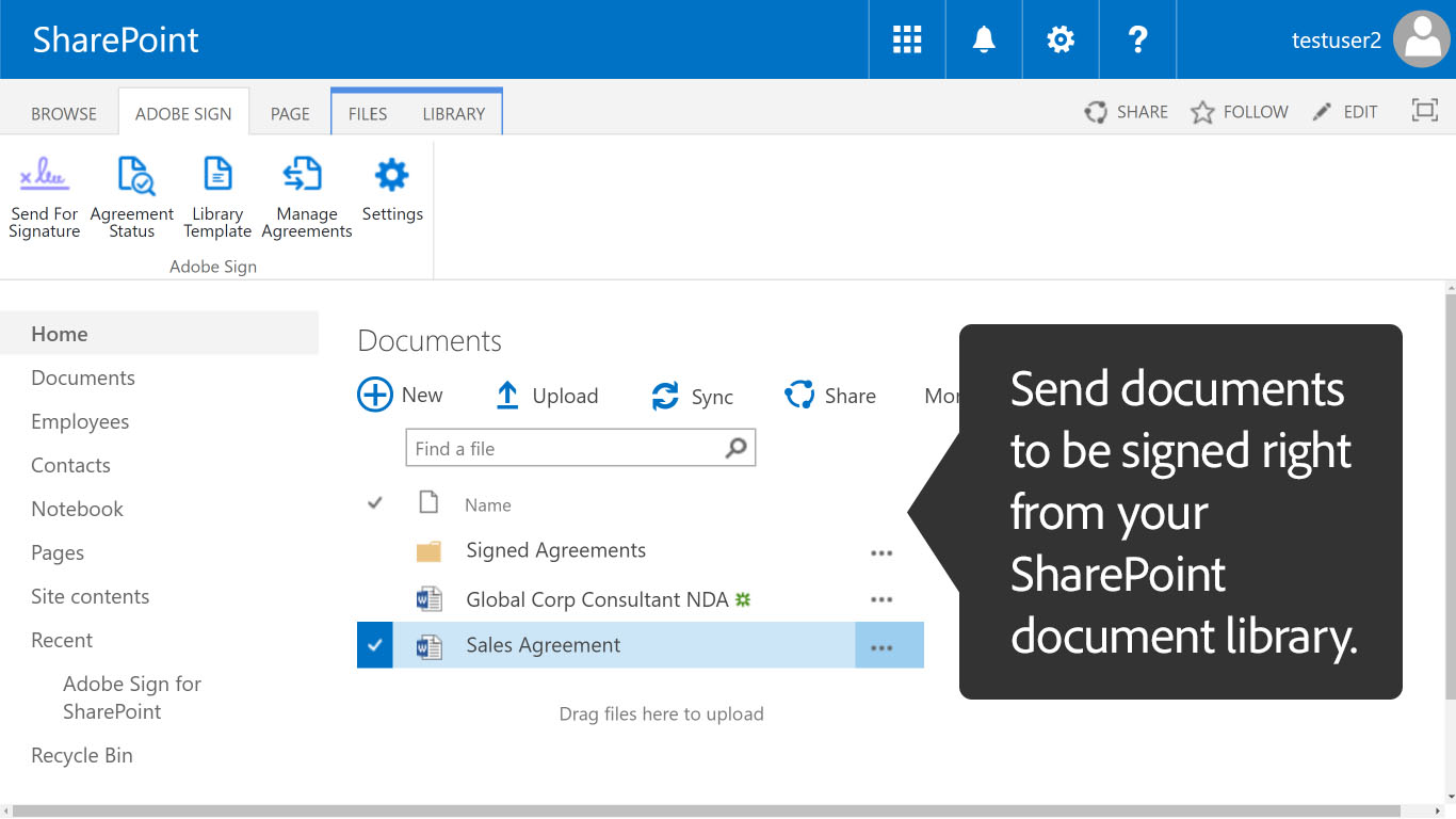 microsoft sharepoint sharepont